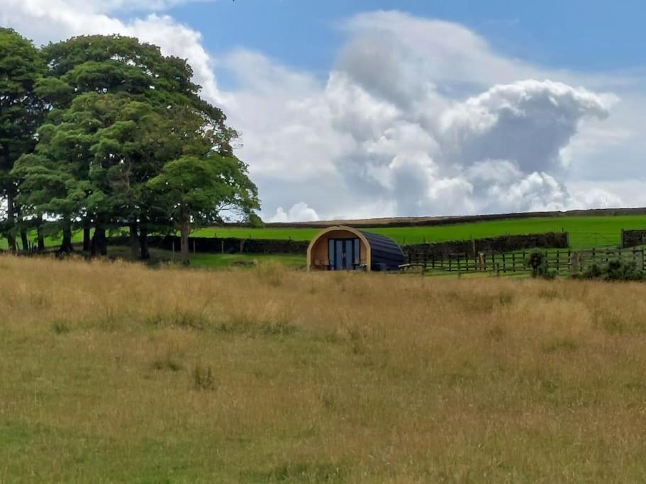 High Whashton Springs Glamping Pod, Richmond Yorks Leilighet Eksteriør bilde